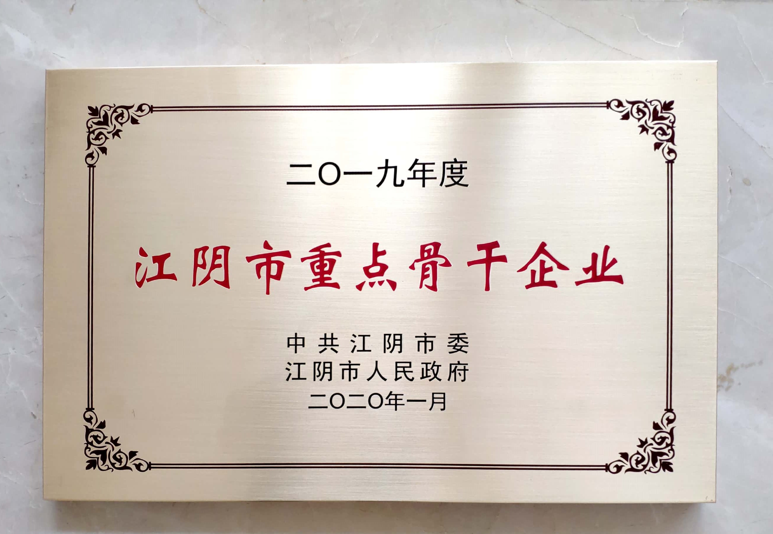 2019年度江陰市重點骨干企業